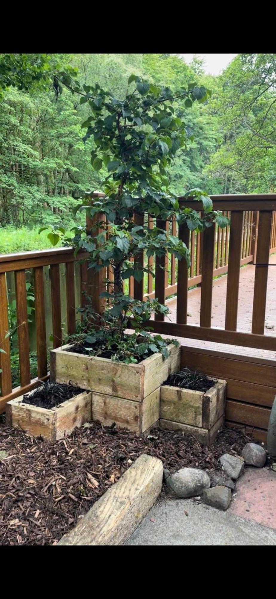 Riverbank Lodge Dollar Екстериор снимка